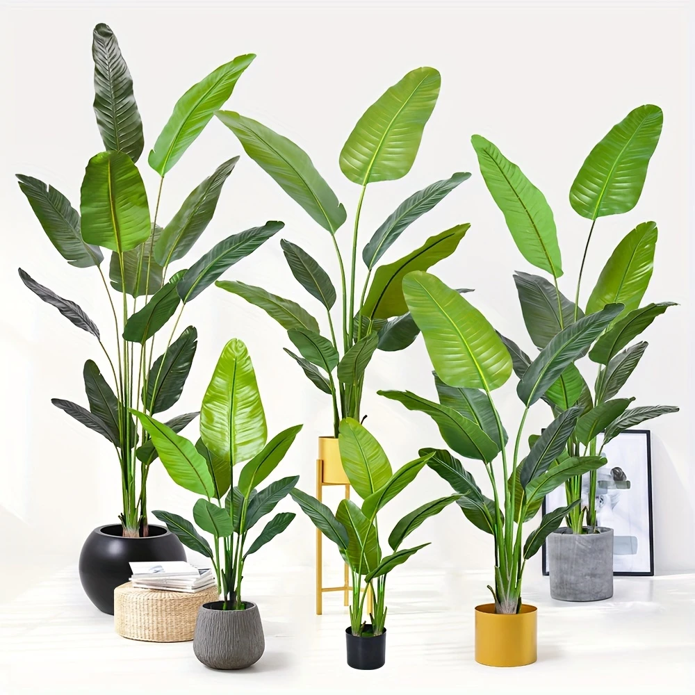 PLANTS