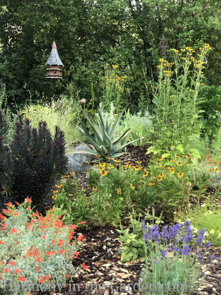 Native & Eco-Friendly Plants