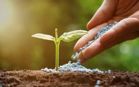 SOIL, FERTILIZERS & GROW MEDIA