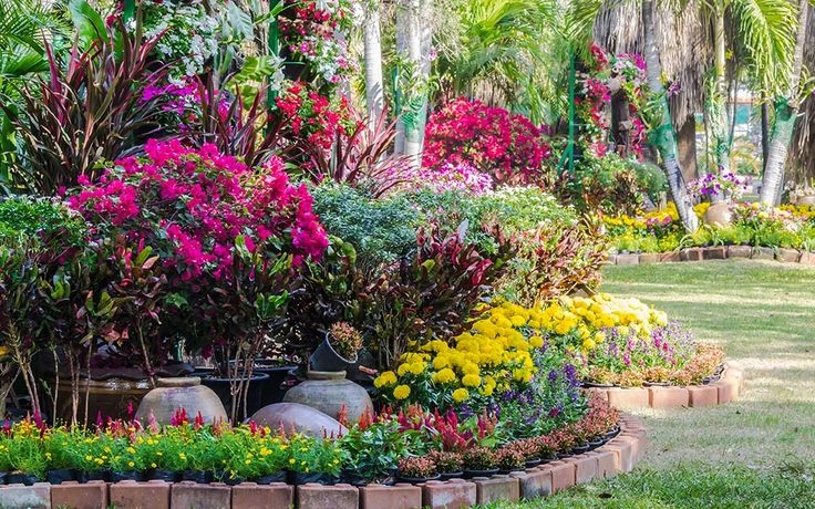 Pots & Planters